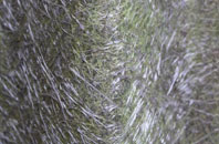 Ancaster fibreglass roof work